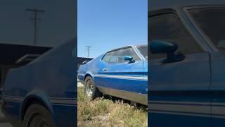 This Mustang Wasn’t Made to Sit in a Showroom 