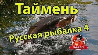 Русская рыбалка 4 Таймень. Река Белая. Russian fishing 4.