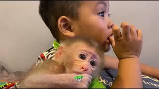 This Adorable Monkey Ella & Cute Kid Enjoy Watching TV!