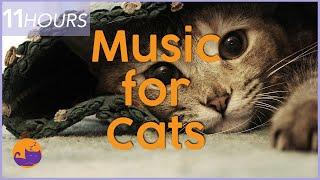 Calming Music for Cats with Anxiety - 11 HOURS of Soothing Sleep Music!