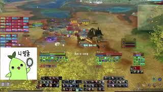 하제동대 쟁 | 아키에이지 증오마딜 ArcheAge9.0 Malediction