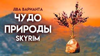 Skyrim | Два варианта прохождения Чудо природы + уникальный кинжал Крапивник! Секреты Скайрима #102