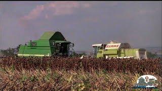 Clip about Moldovan combine and tractor drivers, Version 2019