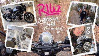 R1Liz - Svartpilen 401 - My New Bike! - Terrible Greenlaning