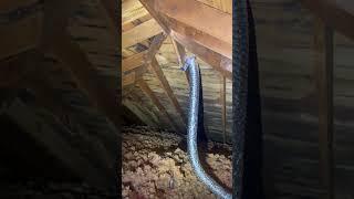 Mice Party in the Attic: Uncovering Critters, Dodgy Wiring & Stuffy Air #homeinspection#atticinspect