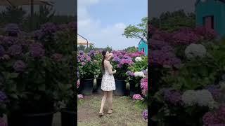 Taman yang Indah   Tiktok Daster Mini 