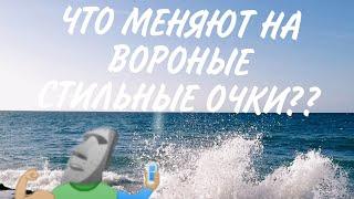 •Шо меняют на ворон стиль очки?!•[ Animal Jam ] By Это Нери