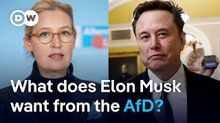 Why Elon Musk interferes in politics around the world | DW News