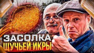 ЩУЧЬЯ ИКРА!! Рецепт от подписчика!! Теперь готовлю только так