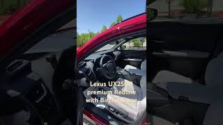 2023 Lexus UX250H premium Redline with Birch Nuluxe interior