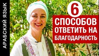 Вам сказали «шукран», как ответить? 6 вежливых ответов по-арабски