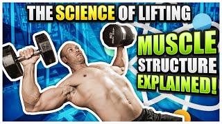 How To Train For Muscle Growth | The Science Of Muscle Structure