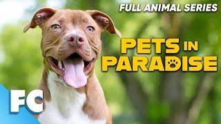 Pets In Paradise (20/26) | Season 2 Episode 07: Bad Reputation | Full Animal Pet Dog TV Show | FC