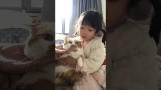 橘子：#情绪好稳定的小猫 #被梦中情猫迷花了眼 #我的猫咪像头猪 #全网最乖的猫 #小猫都有被好好爱着