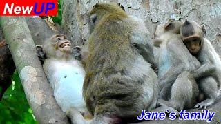 OMG..Jazzy cried backward nearly fell mother Jane wrong decided b!ting her sneak Jonna stole milk.