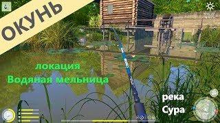 Русская рыбалка 4 - река Сура - Окунь в ручье