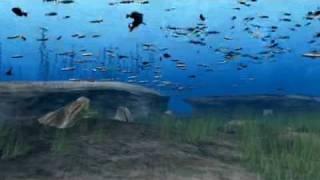 Ecosystem Model