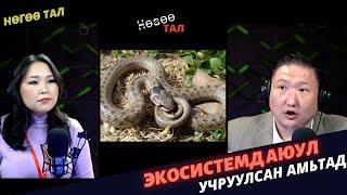 Нөгөө тал | 2024-02-01 | Хүн амьтад хоорондын дайн