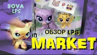 ОБЗОР LPS in Market/SOVA LPS