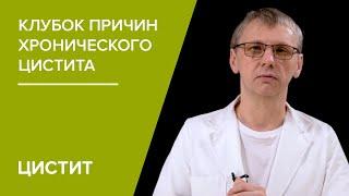 Клубок причин хронического цистита