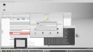 Linux Mint 17.3 Tutorial For Beginners