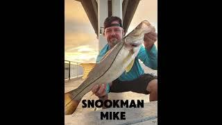 "Magic hour Snook" #snook #fishing #fish #pennreels #florida #jensenbeach #sunset #bridge #goodtimes