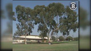Larry Himmel's Neighborhood: Allied Gardens in 1992 | San Diego's News 8