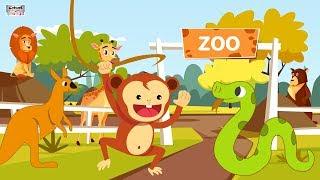 Let's Go To The Zoo Song | Animal Song for Kids By #catrackkidstv