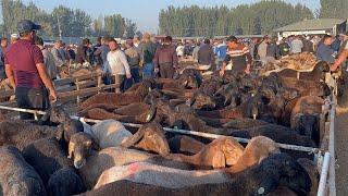 Uychi tumani Yorqõrģon qõy bozori bugungi narhlar bilan tanishing 11.09.2024yil