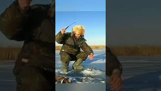 И Снова Окунь На Блесну  #первыйлед #рыбалкапопервомульду #окуньзимой#shorts