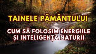 Tainele Pământului. Cum să folosim energiile și inteligența naturii...