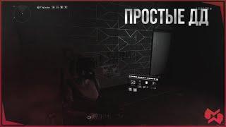 The Division 2 | Простые ДД билды | Для новичков