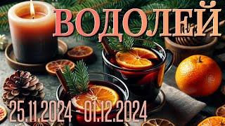 ВОДОЛЕЙ.Таро-прогноз от Евы Лехцер с 25.11.24 - 01.12.24.Timeless In-Depth Tarot Reading