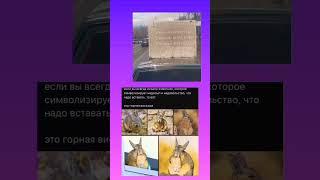 #мем #мемы #mem #юмор #прикол #memes