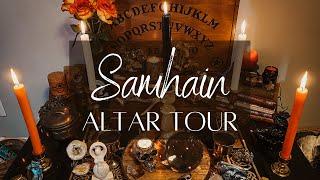 Samhain Altar Tour & New Kitten! | Witchcraft Altar