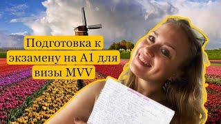 Anna Naar Nederland . Подготовка к ЭКЗАМЕНУ НИДЕРЛАНДСКИЙ ЯЗЫК на А1 для ВИЗЫ MVV . Мой опыт