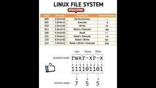 LINUX FILE SYSTEM #linux #linuxforbeginners #linuxskills #linuxserver #linuxshorts