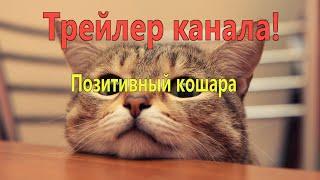 трейлер позитивного кота