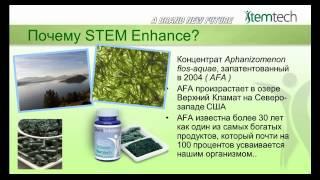 НОВАЯ СЕТЕВАЯ КОМПАНИЯ 2013 STEMTECH