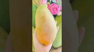 Mango Fresh Fruit cutting #mango #fruit #shorts
