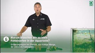 JBL TV #6: Warum brauchen wir so viele Futtersorten in der Aquaristik?