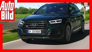 Audi SQ5 (2017) - Sportliches Benziner-SUV / Fahrbericht