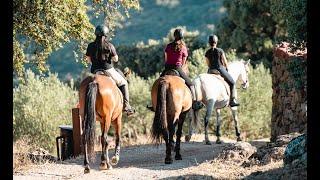 La Donaira: Andalusia’s Equestrian Hideaway