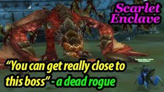 Hilarious Scarlet Enclave Raid | Rogue Tank Season of Discovery