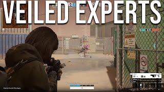 VEILED EXPERTS Gameplay (No Commentary)