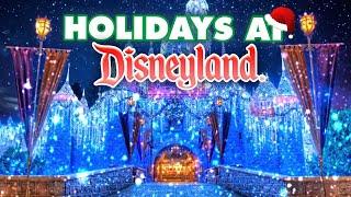 Emotional OPENING NIGHT of 2024 Holiday Season at Disneyland