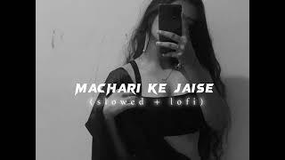 Tadpe jawani || machari ke jaise tadpe jawani - (slowed + reverb)