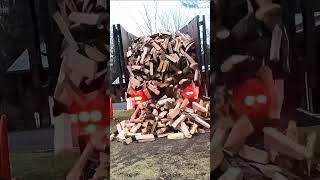 MASSIVE 6 CORD FIREWOOD DELIVERY! #SHORTS #FIREWOOD