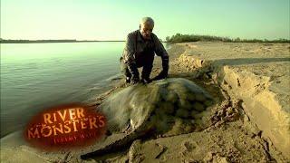 Jeremy Catches Stingray After 2 Hour Battle! | STINGRAY | River Monsters