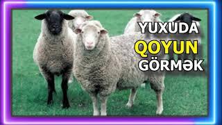 QOYUN YUXU YOZMA  - YUXUDA QOYUN GORMEK